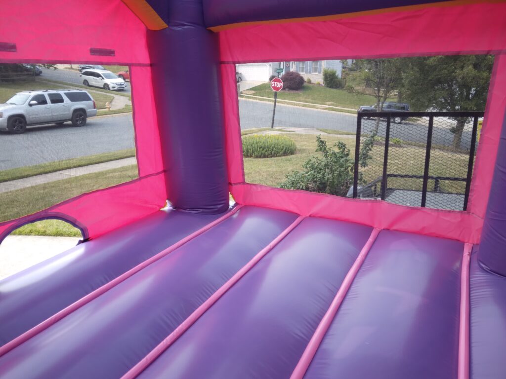 Pink_Caslte_Bounce_House_3 (2)